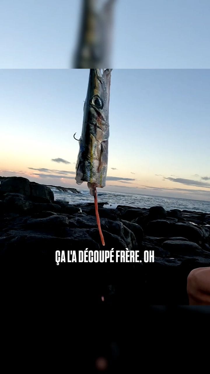 Post 3 by Spot-de-peche.com on Instagram (video)