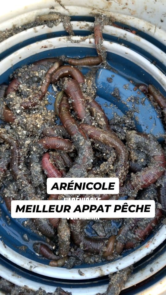 Post 9 by Spot-de-peche.com on Instagram (video)