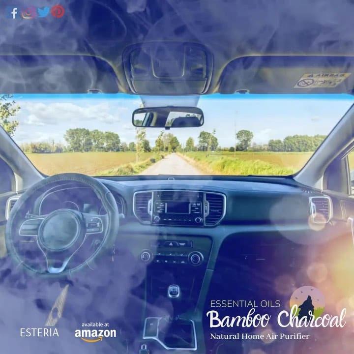 Post 2 by Esteria on Instagram (video)