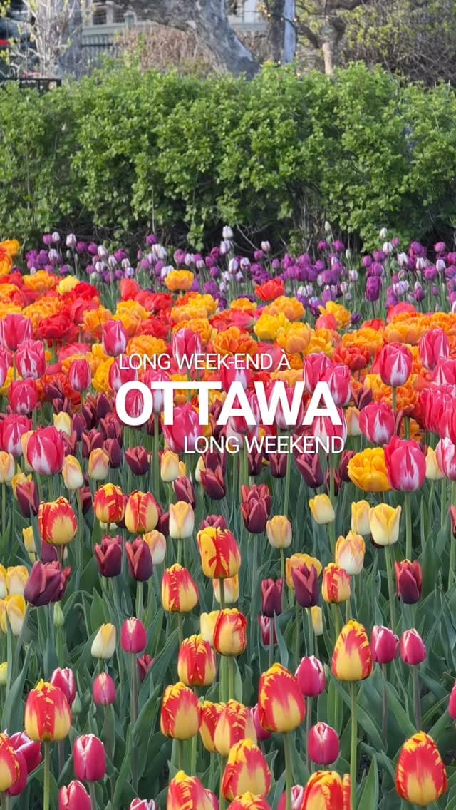 Post 6 by Telfer School | École Telfer on Instagram (video)