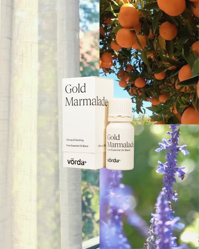 Post 2 by Vorda on Instagram (video)