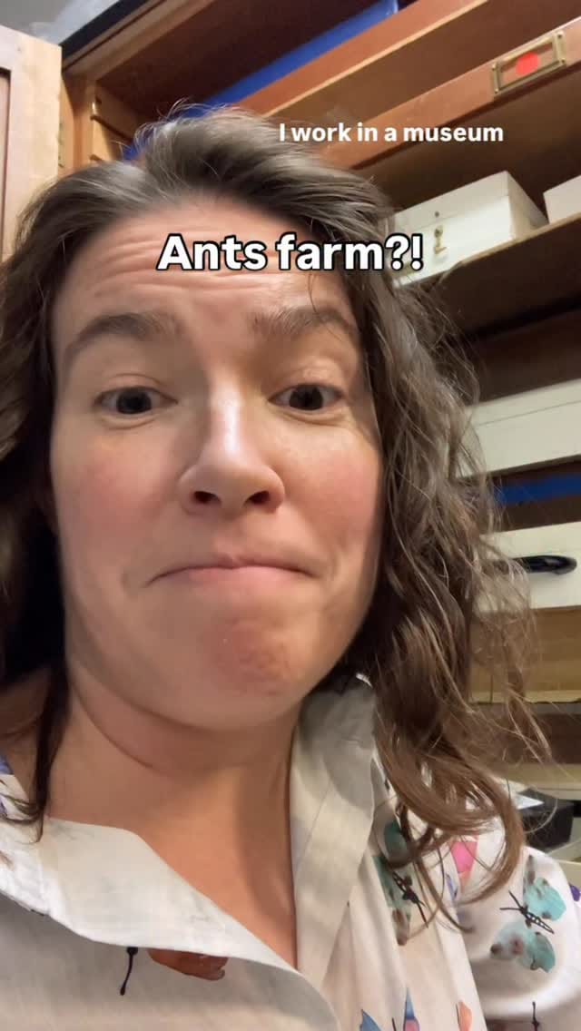 Post 7 by Museum Teacher on Instagram (video)
