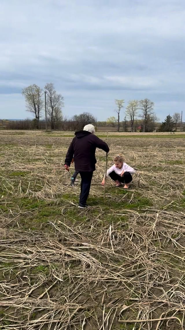 Post 6 by 🇮🇹 Nonna Elda & Alessandra 🌈 on Instagram (video)