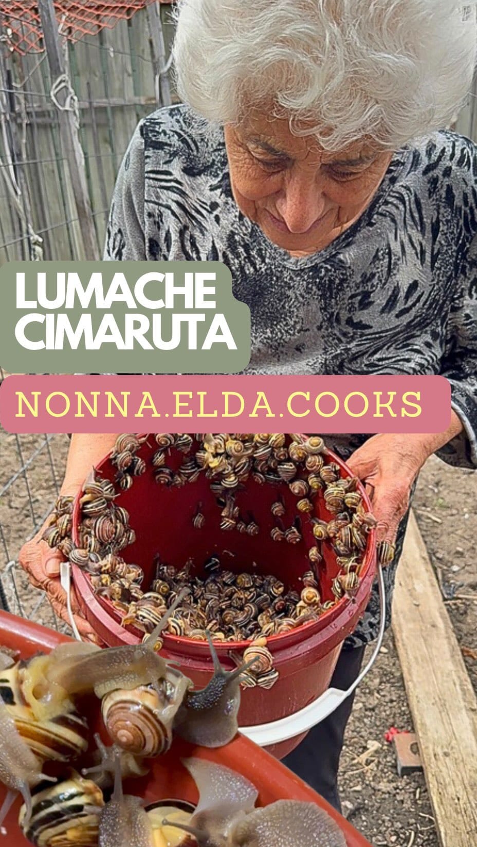 Post 4 by 🇮🇹 Nonna Elda & Alessandra 🌈 on Instagram (video)