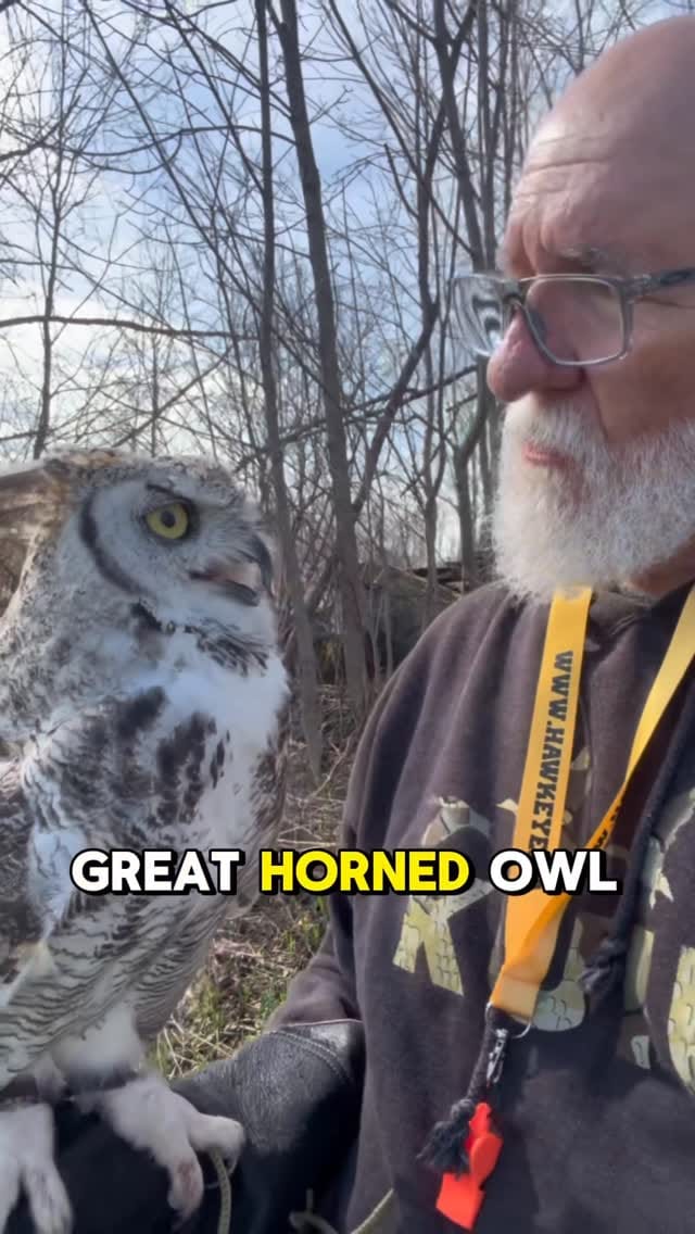 Post 9 by Hawkeye Bird & Animal Control on Instagram (video)