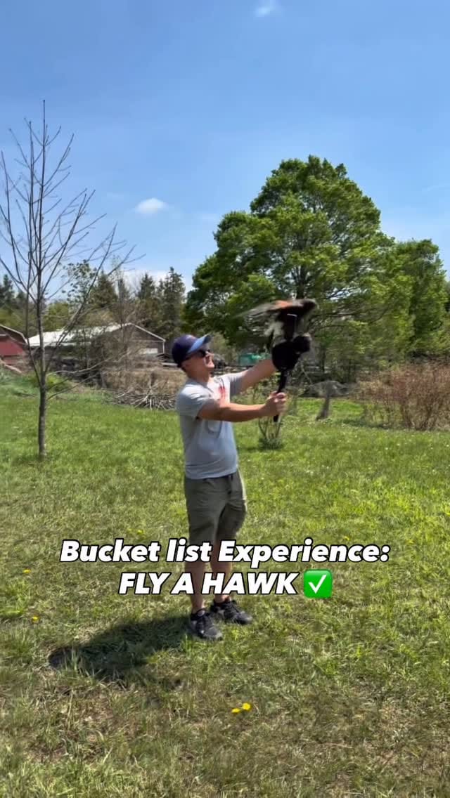 Post 7 by Hawkeye Bird & Animal Control on Instagram (video)