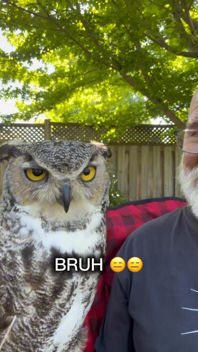 Post 1 by Hawkeye Bird & Animal Control on Instagram (video)