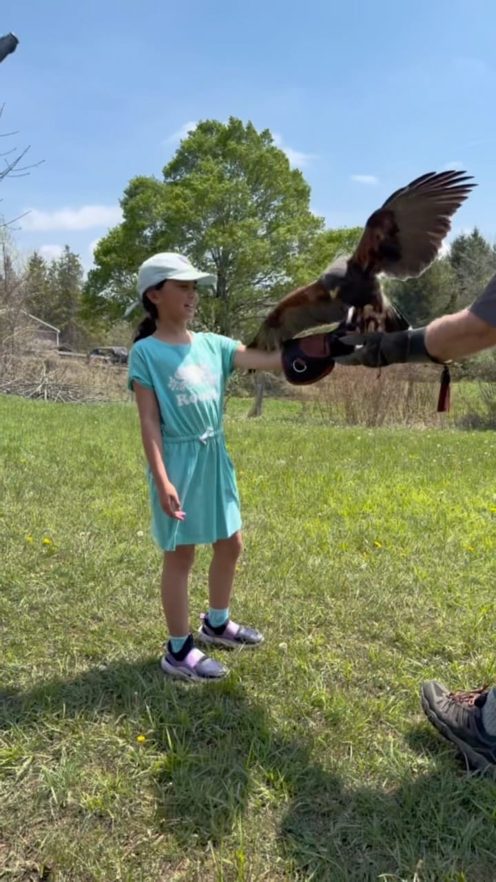 Post 3 by Hawkeye Bird & Animal Control on Instagram (video)