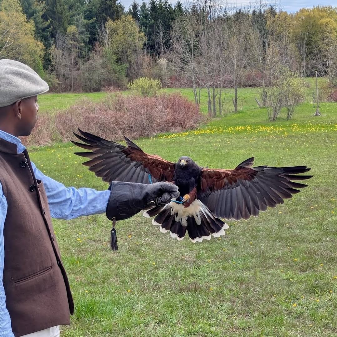 Post 5 by Hawkeye Bird & Animal Control on Instagram (image)
