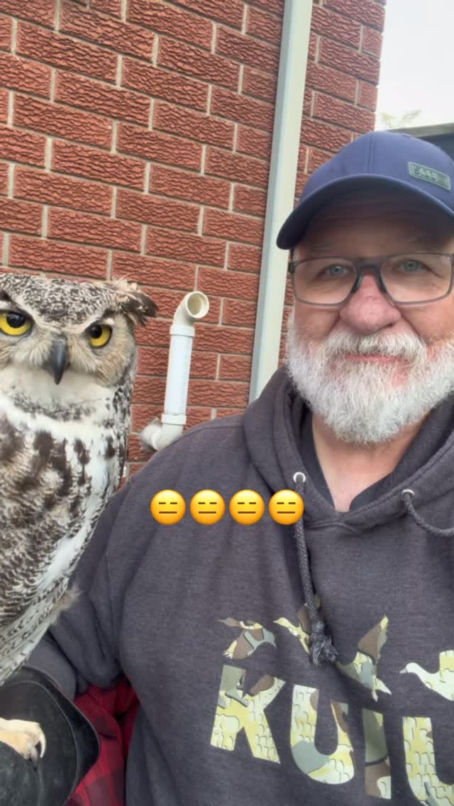 Post 4 by Hawkeye Bird & Animal Control on Instagram (video)