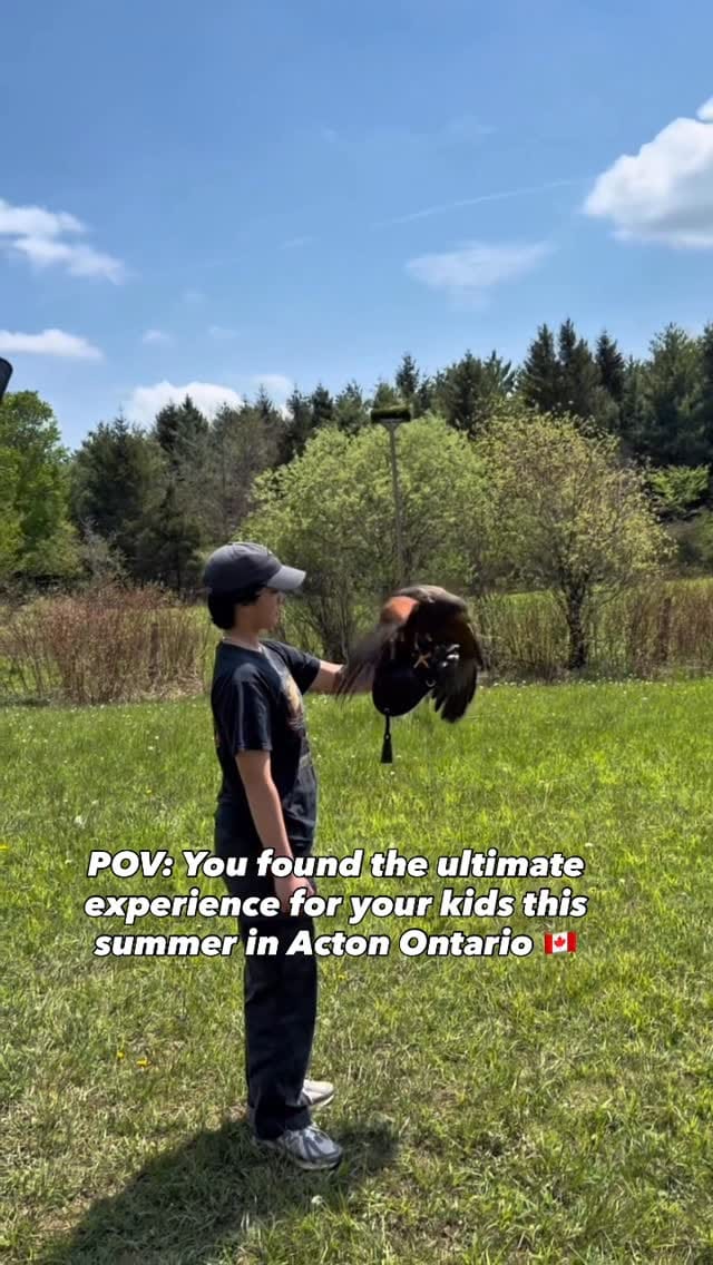 Post 6 by Hawkeye Bird & Animal Control on Instagram (video)