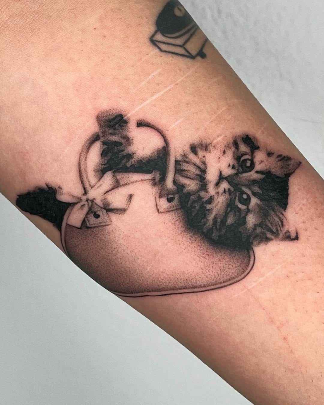 Post 3 by ✨Hoerli✨ Lisa Marie on Instagram (carousel)