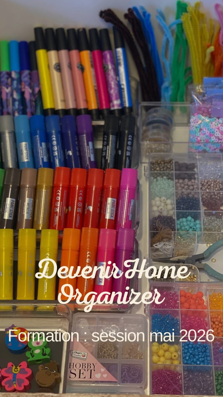Post 6 by Camille Hecker Home Organizer on Instagram (video)