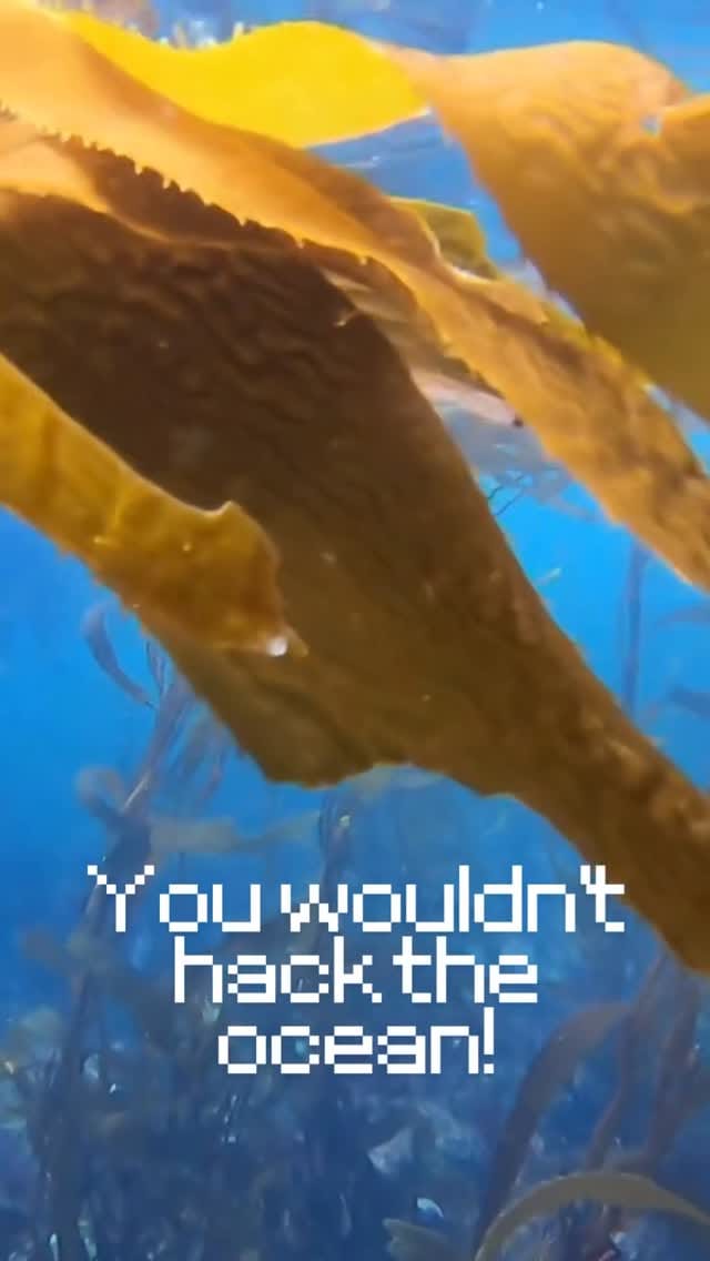 Post 2 by Bamfield Marine Sciences Centre on Instagram (video)