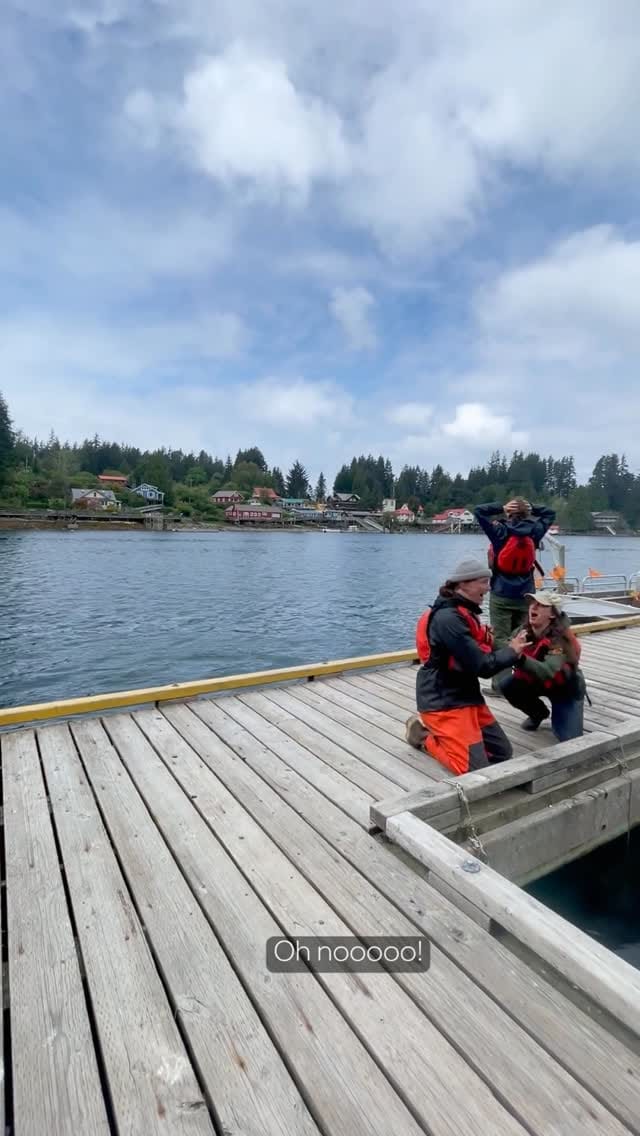 Post 3 by Bamfield Marine Sciences Centre on Instagram (video)