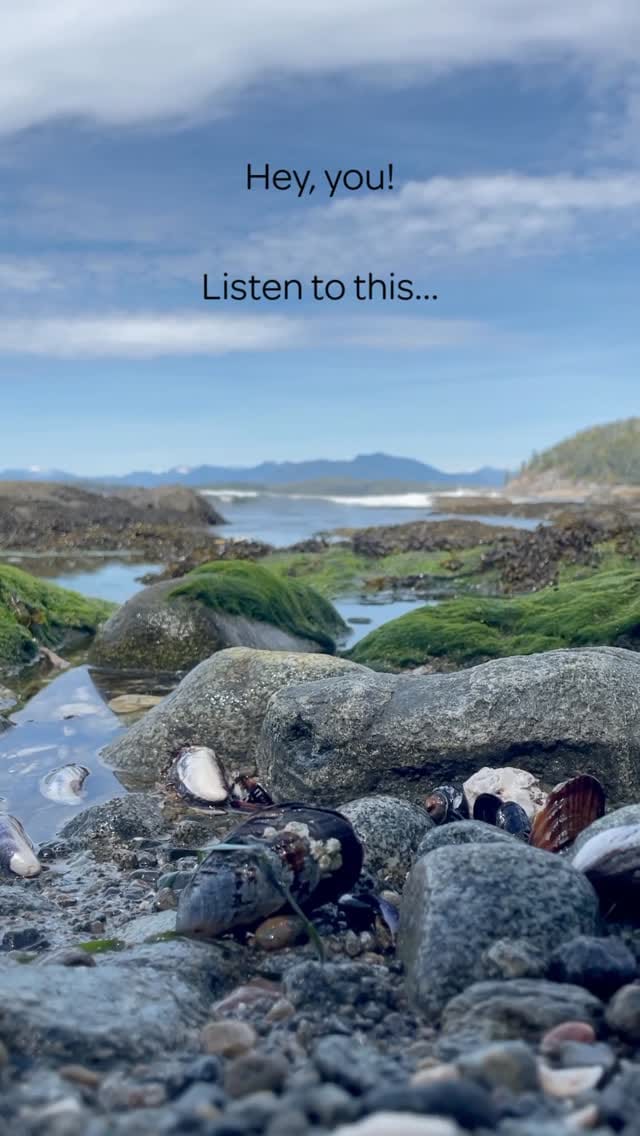 Post 4 by Bamfield Marine Sciences Centre on Instagram (video)