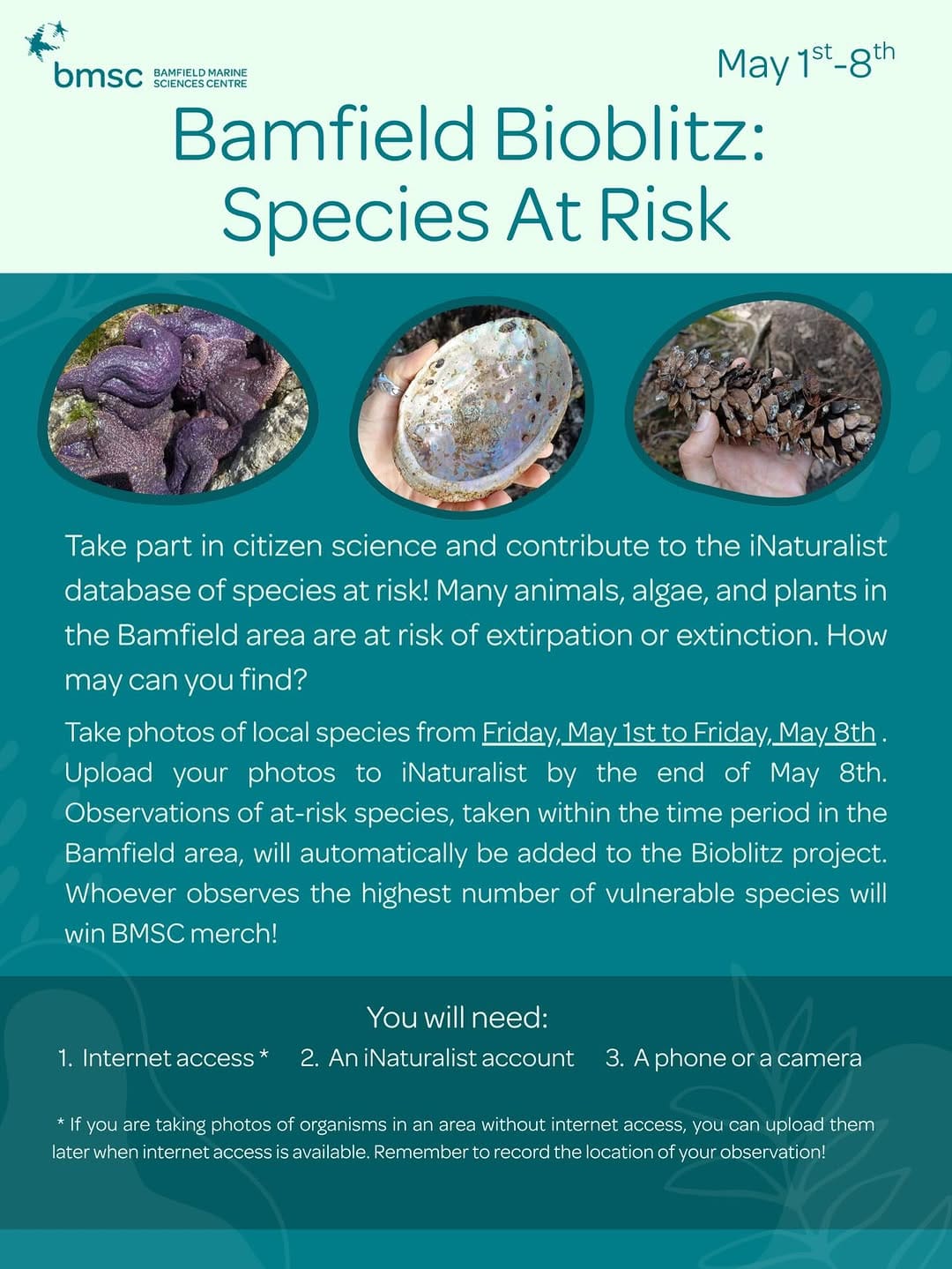 Post 5 by Bamfield Marine Sciences Centre on Instagram (image)