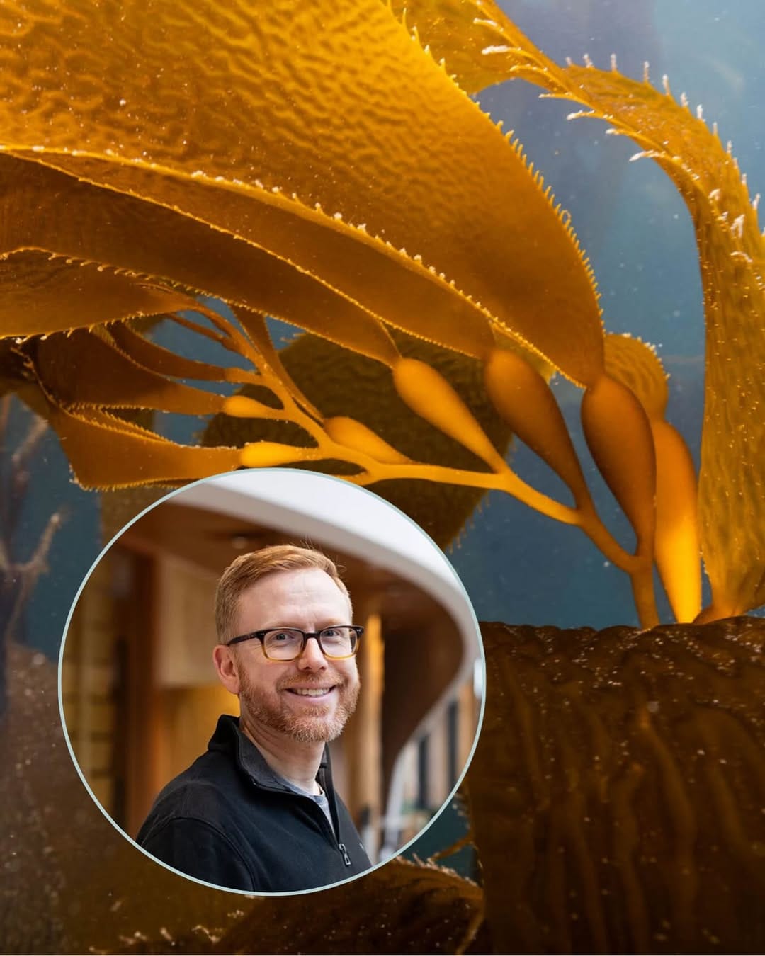 Post 6 by Bamfield Marine Sciences Centre on Instagram (image)
