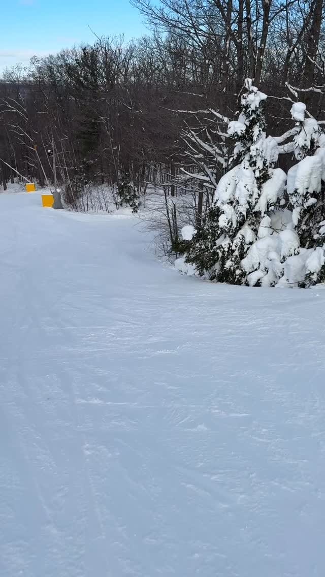 Post 6 by Bárbara Stanton on Instagram (video)