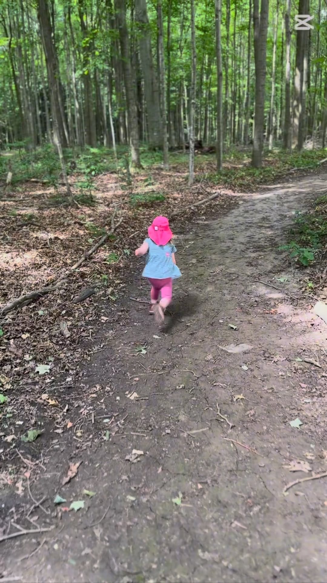 Post 10 by Bárbara Stanton on Instagram (video)