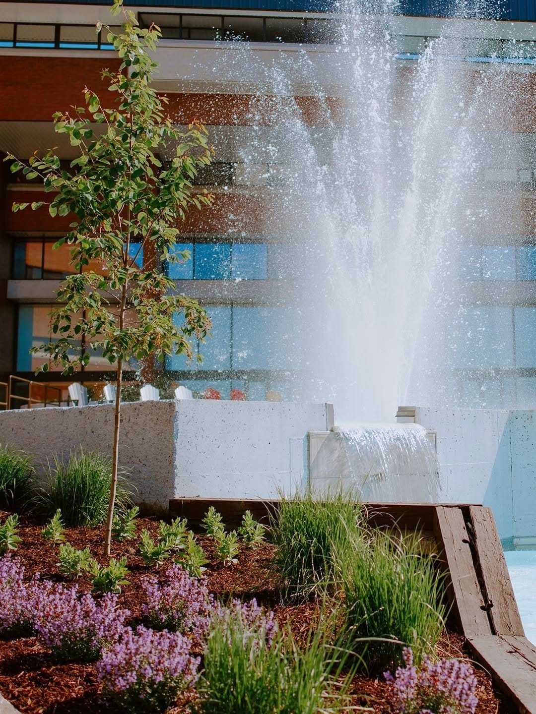 Post 10 by Cambrian College on Instagram (image)