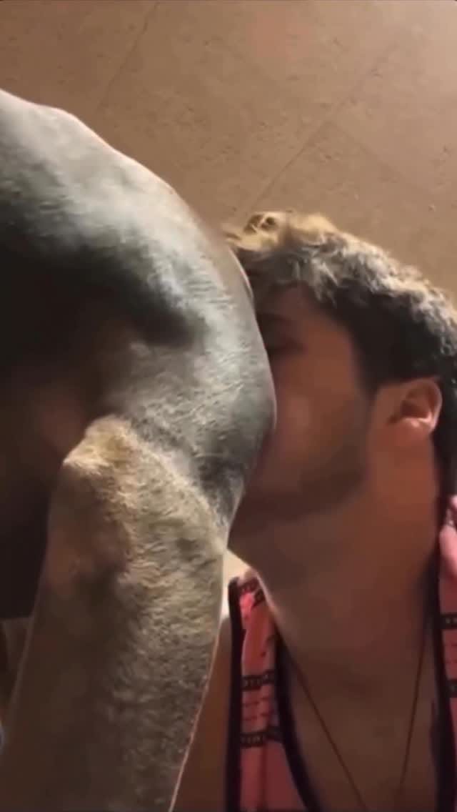 Post 7 by Kaze Uzumaki on Instagram (video)
