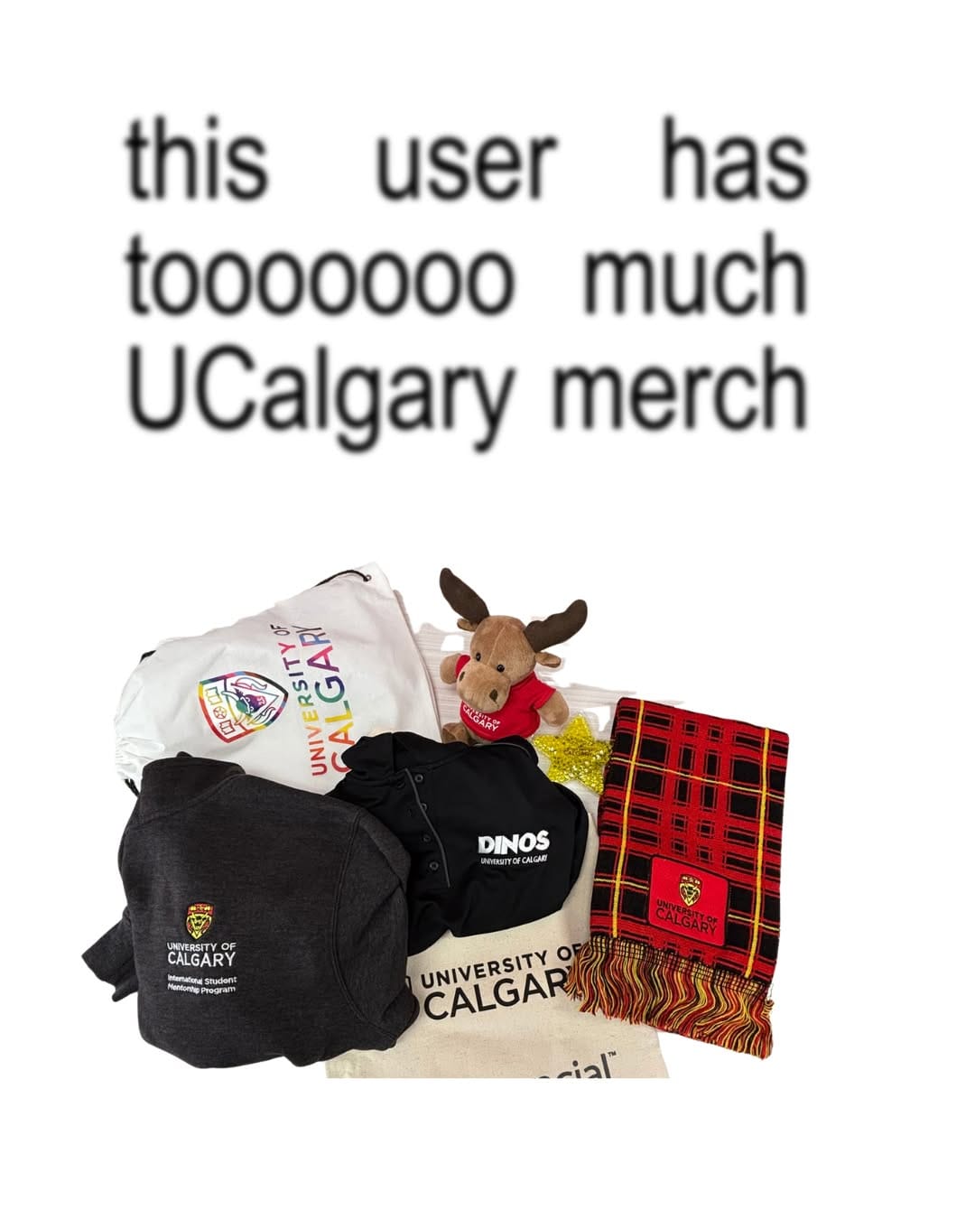 Post 5 by University of Calgary on Instagram (carousel)