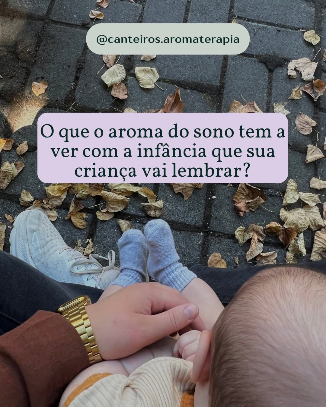 Post 5 by Canteiros Aromaterapia on Instagram (carousel)
