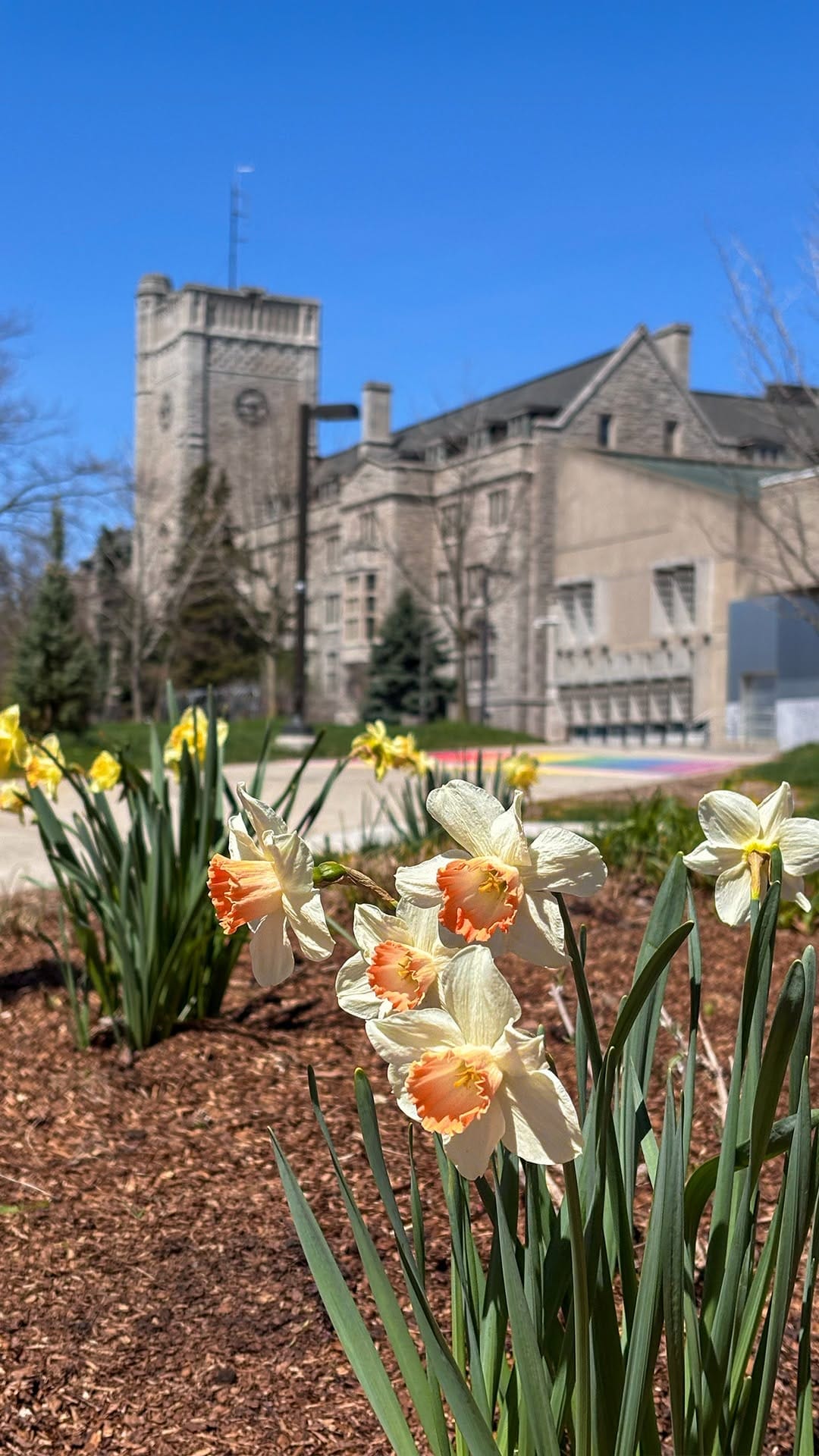 Post 6 by University of Guelph, OAC on Instagram (video)