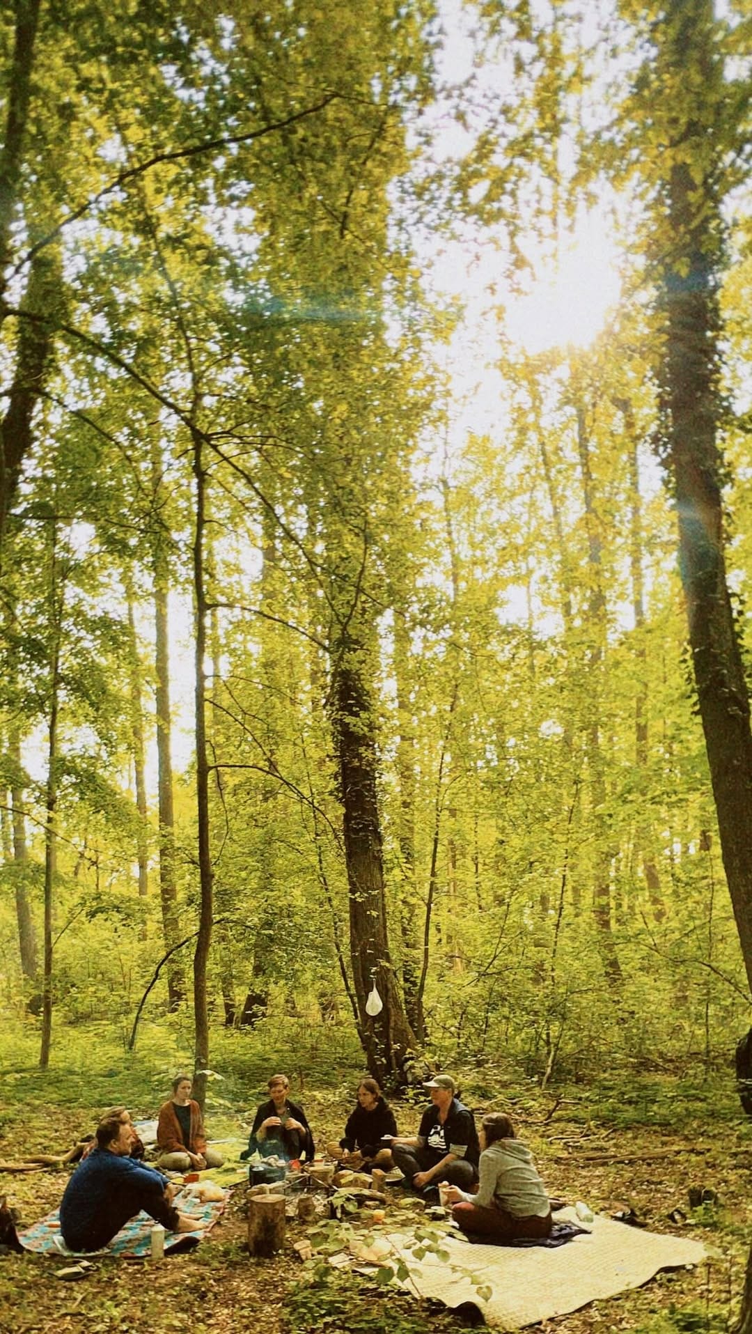 Post 2 by KAILO by Olivia ☉ go outside to look inside on Instagram (video)