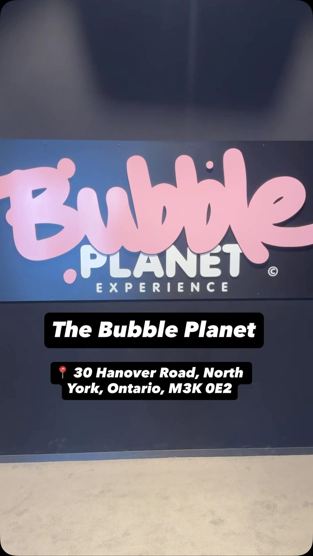 Post 4 by Julie, Cuong, Blake & Leo on Instagram (video)