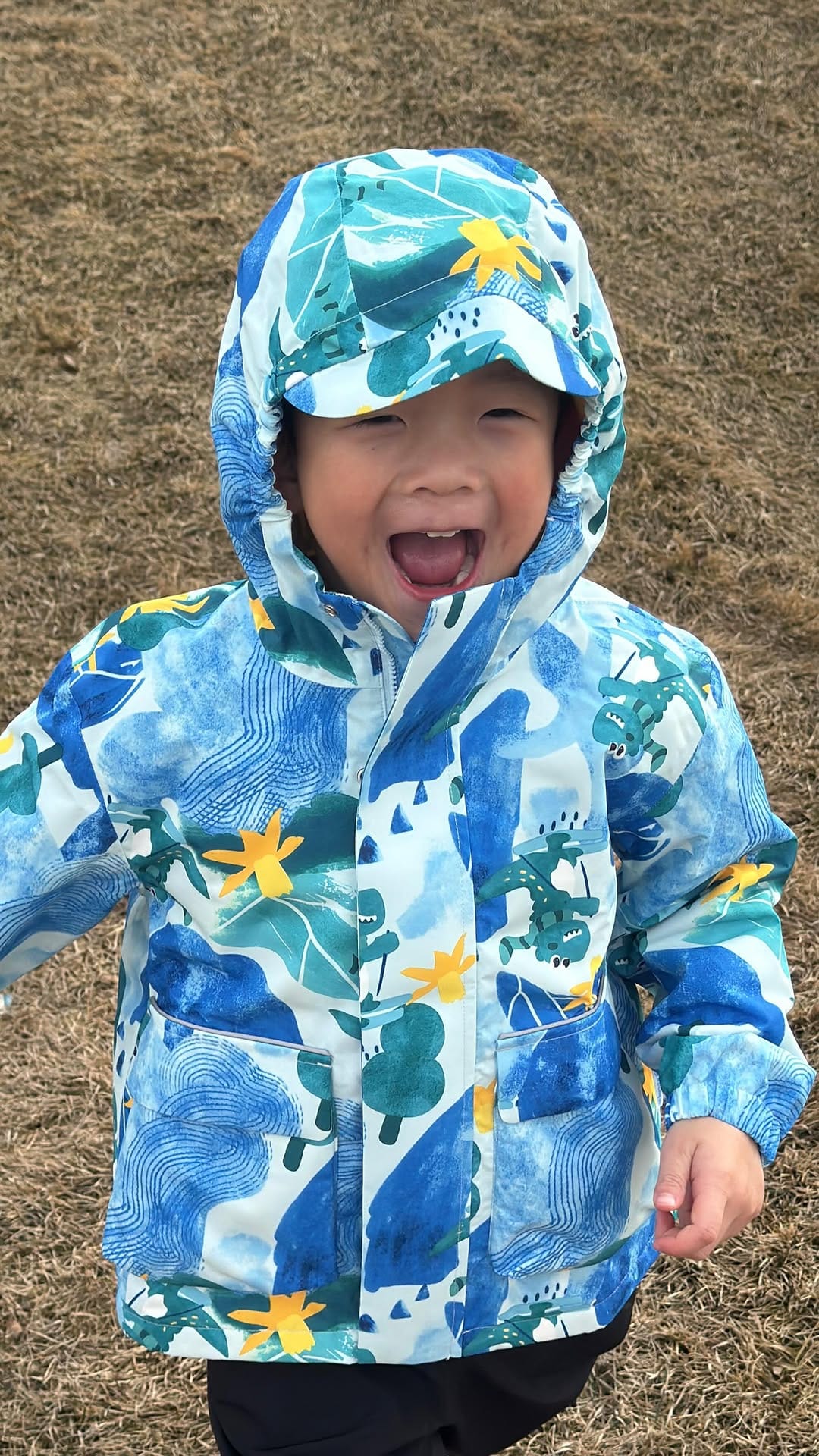 Post 1 by Julie, Cuong, Blake & Leo on Instagram (video)