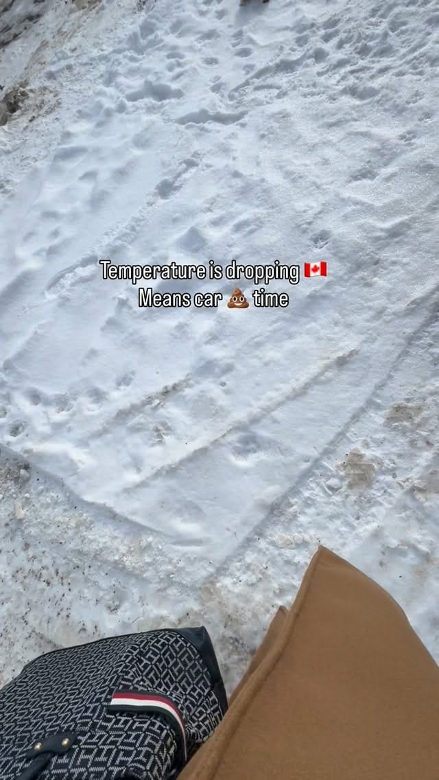 Post 9 by The Kakkasserys ™ on Instagram (video)