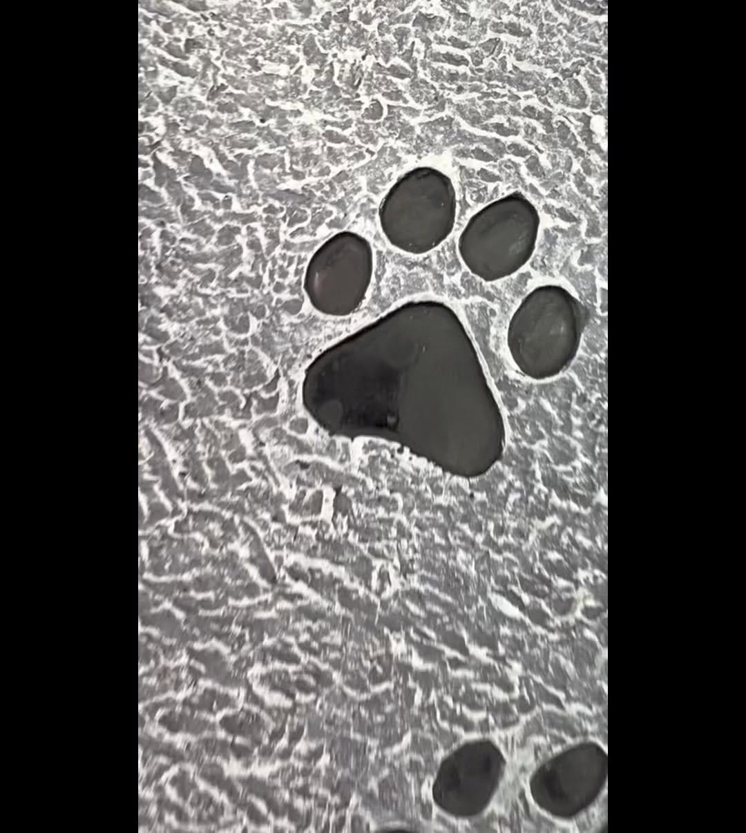 Post 6 by Jerlyn on Instagram (video)