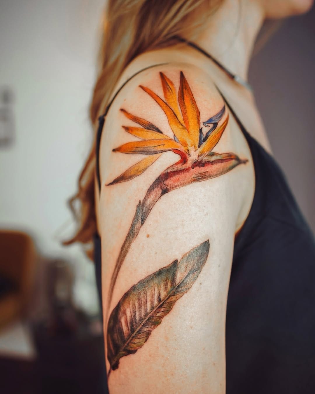 Post 5 by Julia Toebel • Tattoo Artist on Instagram (image)