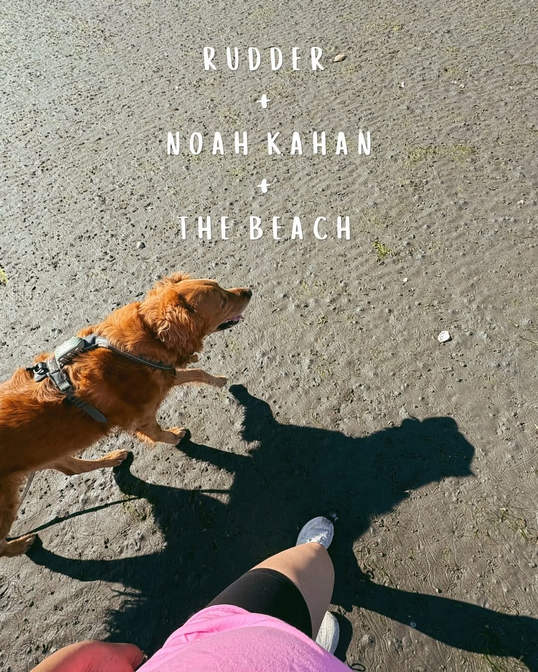 Post 4 by RUDDER + Mikayla | dog friendly adventures 🐾 on Instagram (carousel)