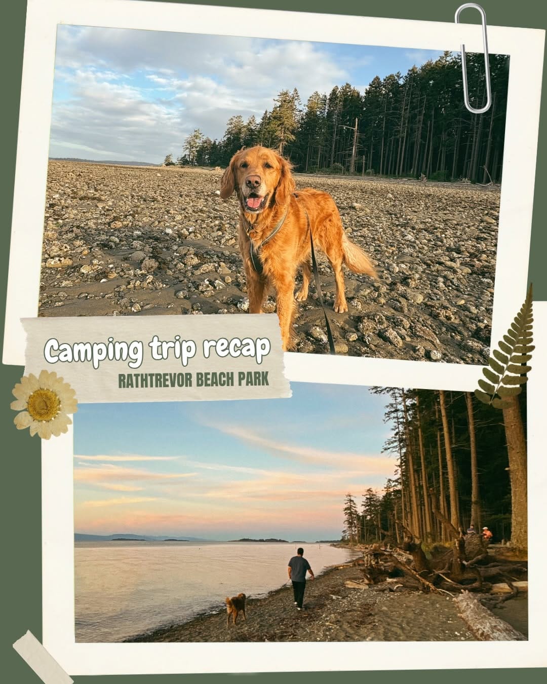Post 6 by RUDDER + Mikayla | dog friendly adventures 🐾 on Instagram (carousel)