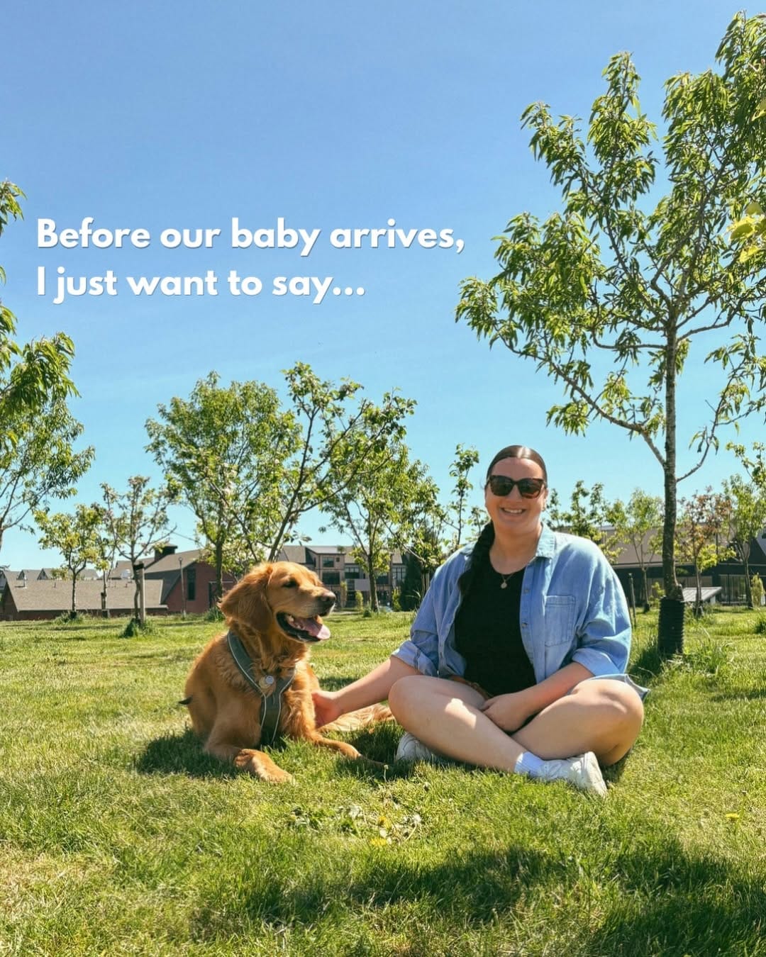 Post 7 by RUDDER + Mikayla | dog friendly adventures 🐾 on Instagram (carousel)