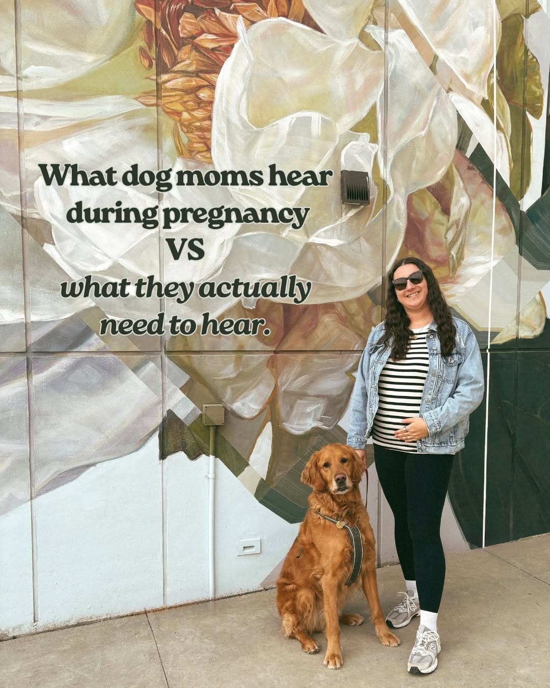 Post 10 by RUDDER + Mikayla | dog friendly adventures 🐾 on Instagram (carousel)