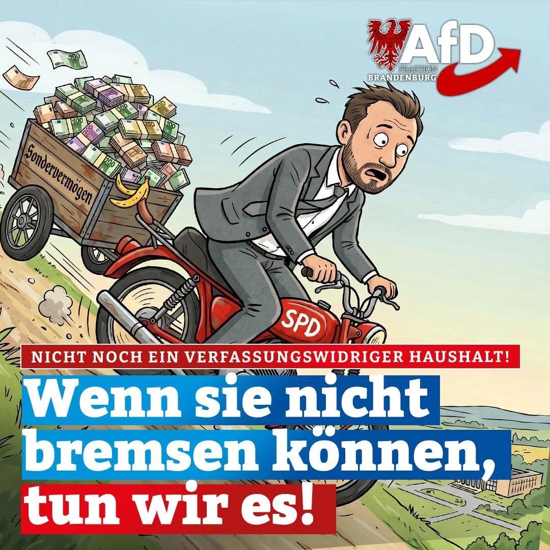 Post 3 by AfD-Fraktion Brandenburg on Instagram (image)