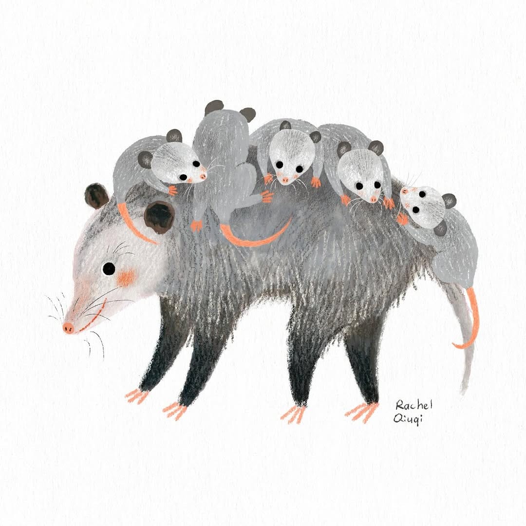 Post 1 by Rachel Qiuqi on Instagram (image)