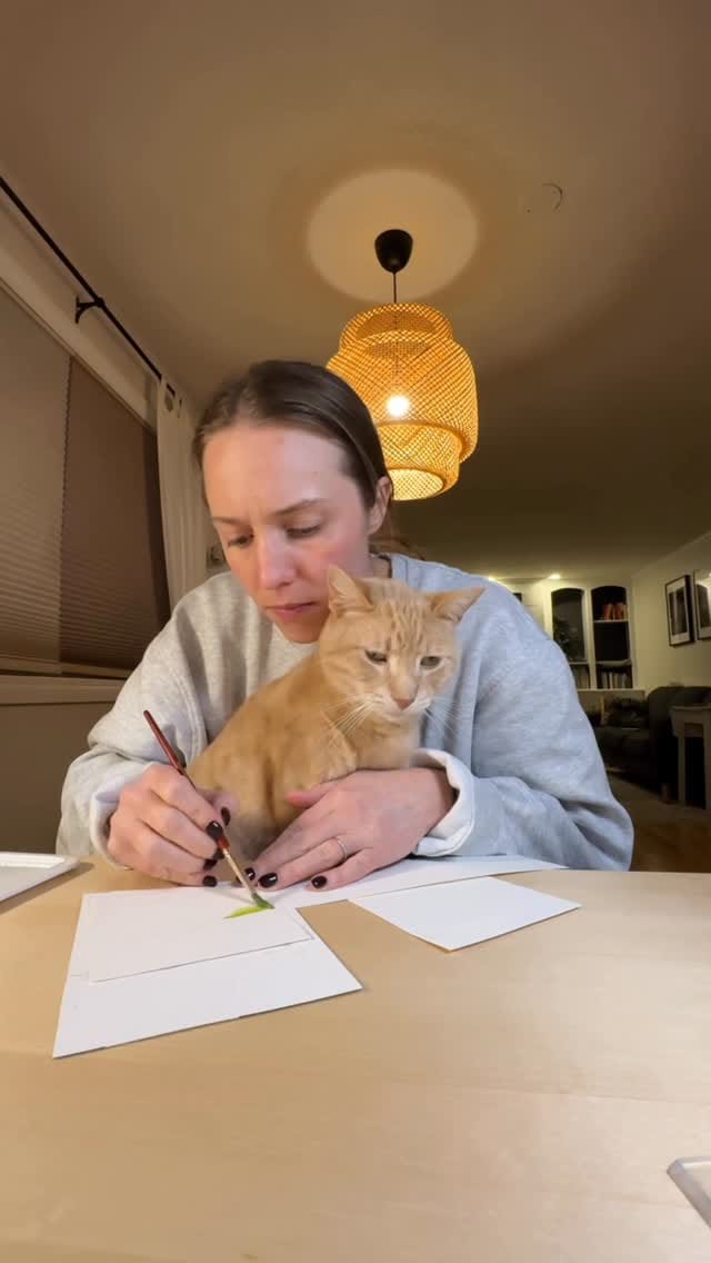 Post 5 by Kaitlin Bishop on Instagram (video)