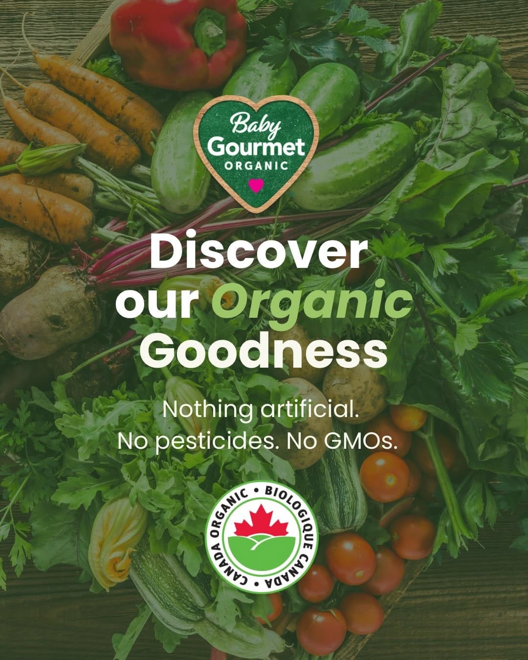 Post 8 by Baby Gourmet | meals & snacks on Instagram (carousel)