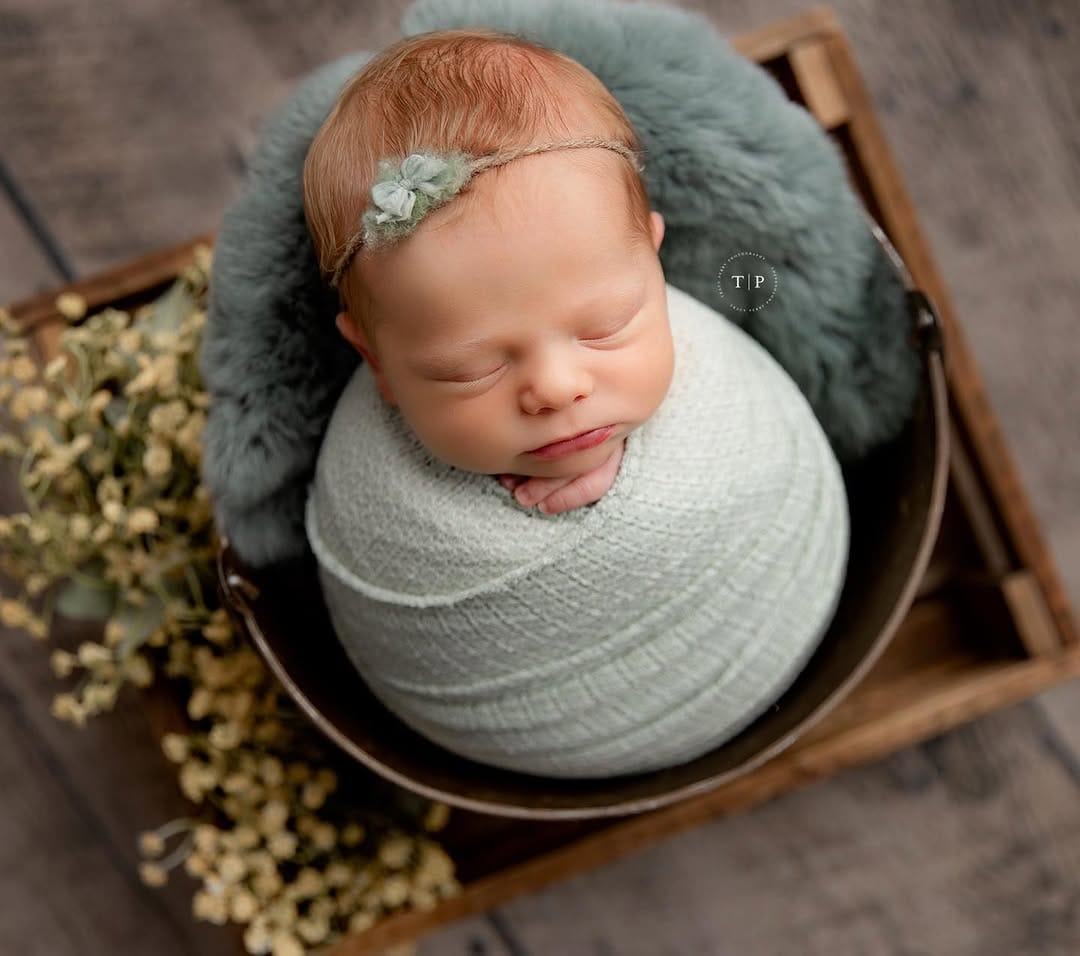 Post 1 by Tracy Perry Photography on Instagram (image)