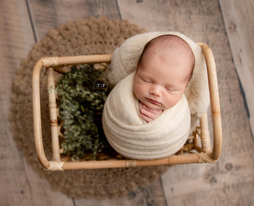 Post 4 by Tracy Perry Photography on Instagram (image)
