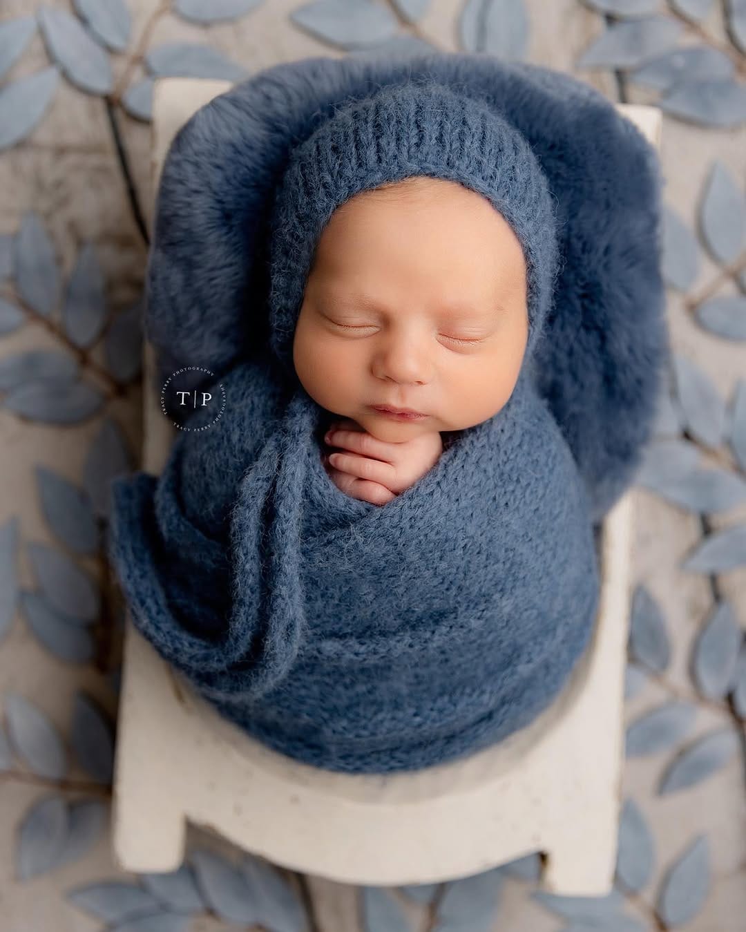 Post 2 by Tracy Perry Photography on Instagram (image)