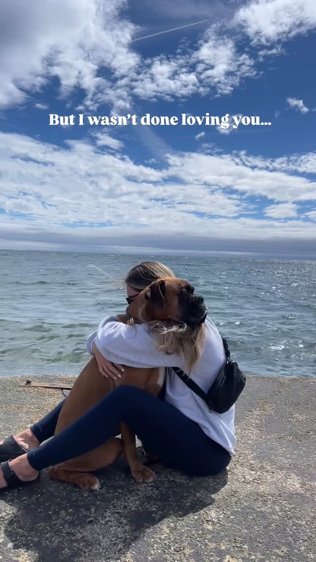 Post 4 by Kevin & Kayla • Dog Mom Life • on Instagram (video)