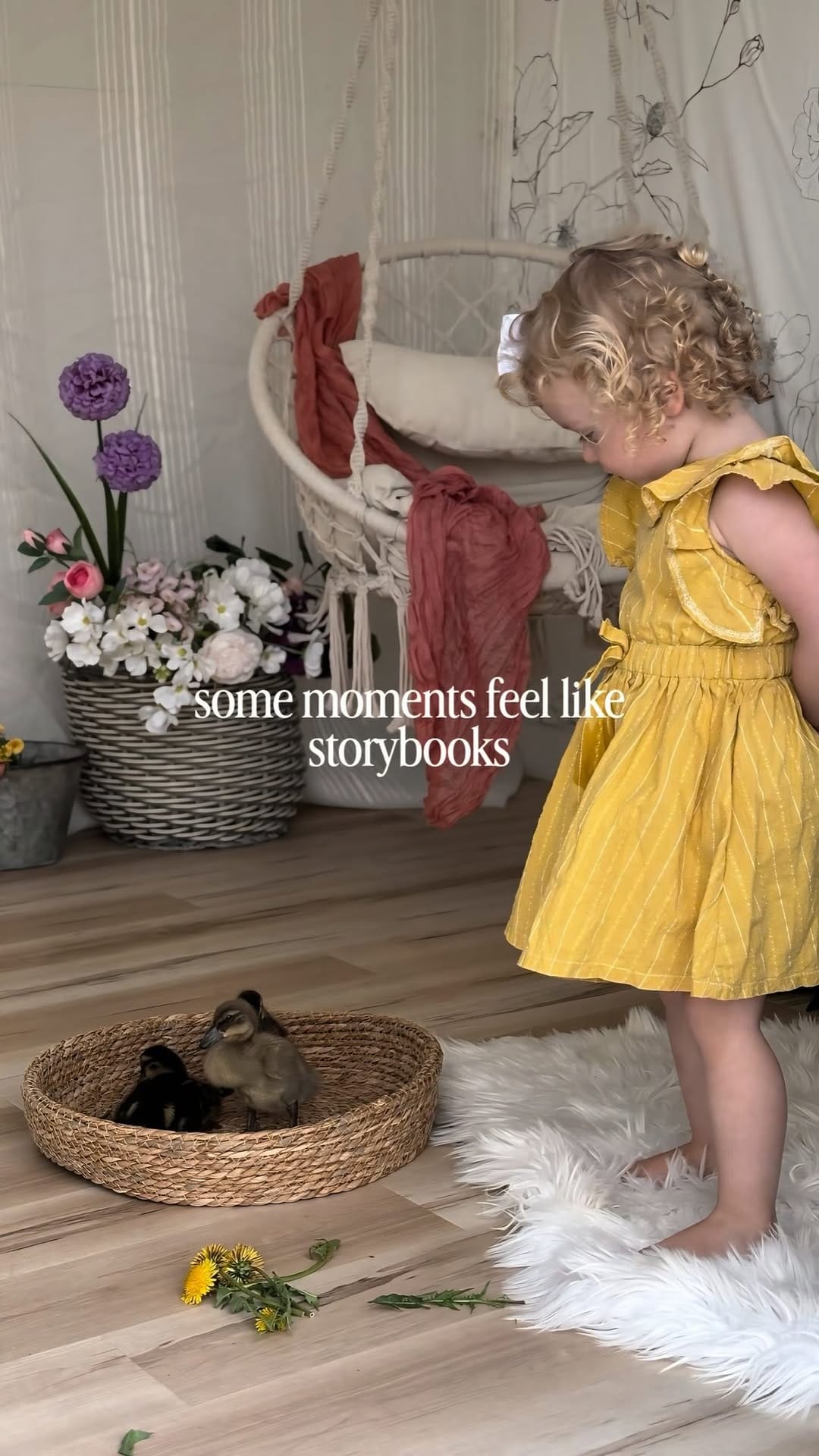 Post 3 by Chelsea Rettie on Instagram (video)