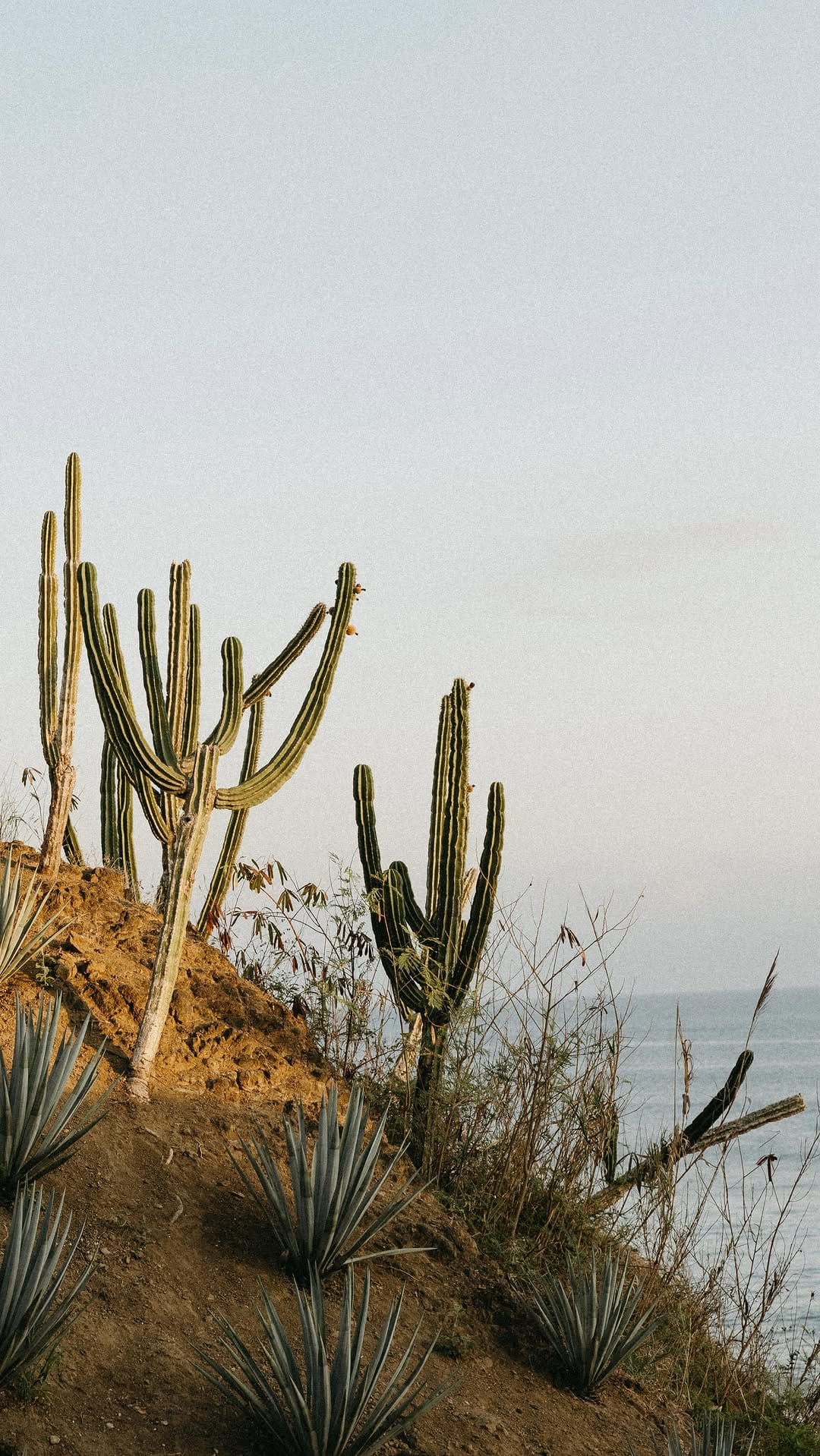 Post 10 by Kara Rohl Photography on Instagram (video)