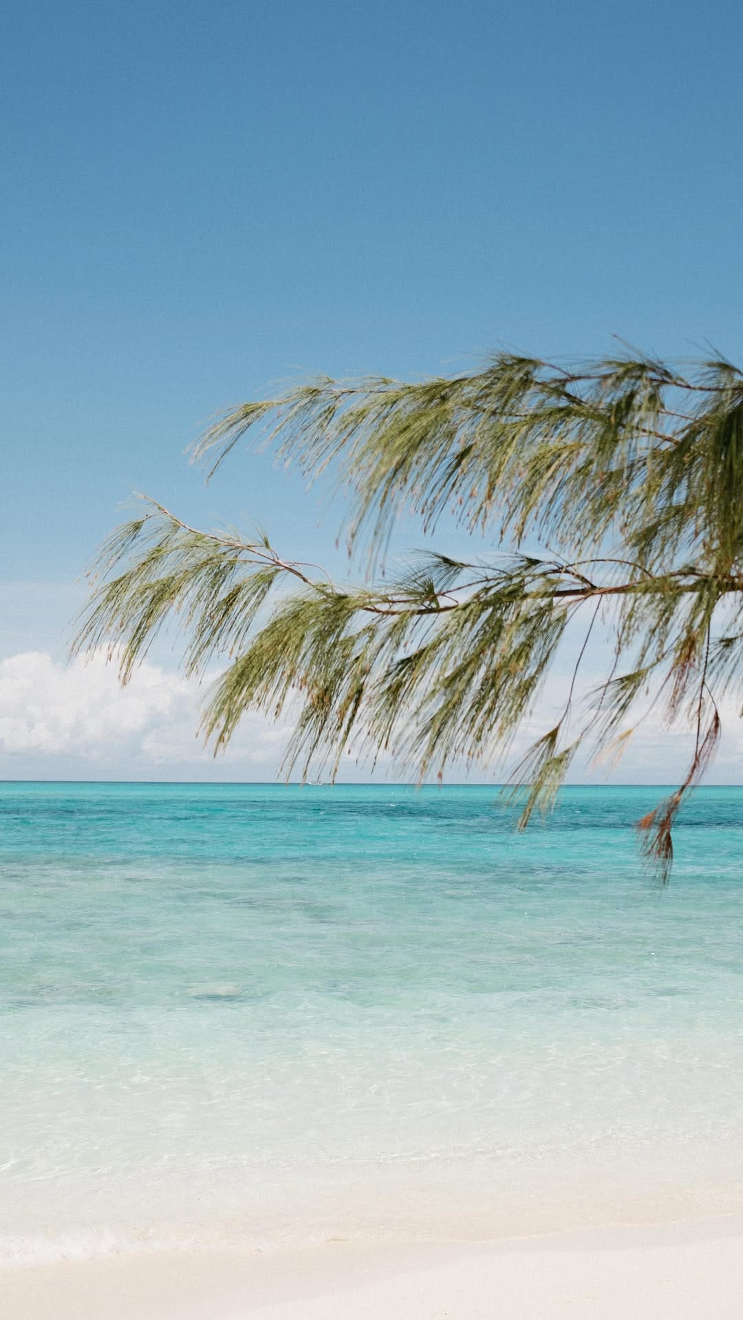 Post 9 by Kara Rohl Photography on Instagram (video)